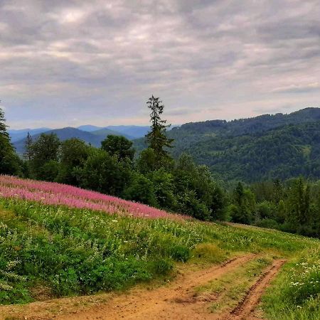 Шале Карпатська Казка Slawske Exterior foto