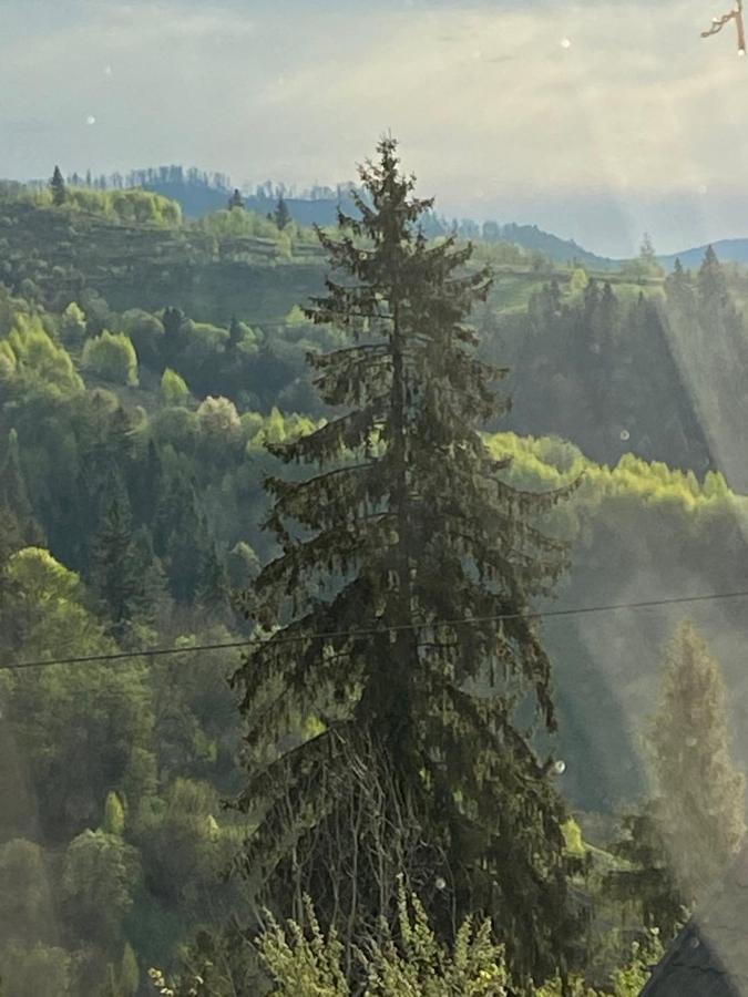 Шале Карпатська Казка Slawske Exterior foto