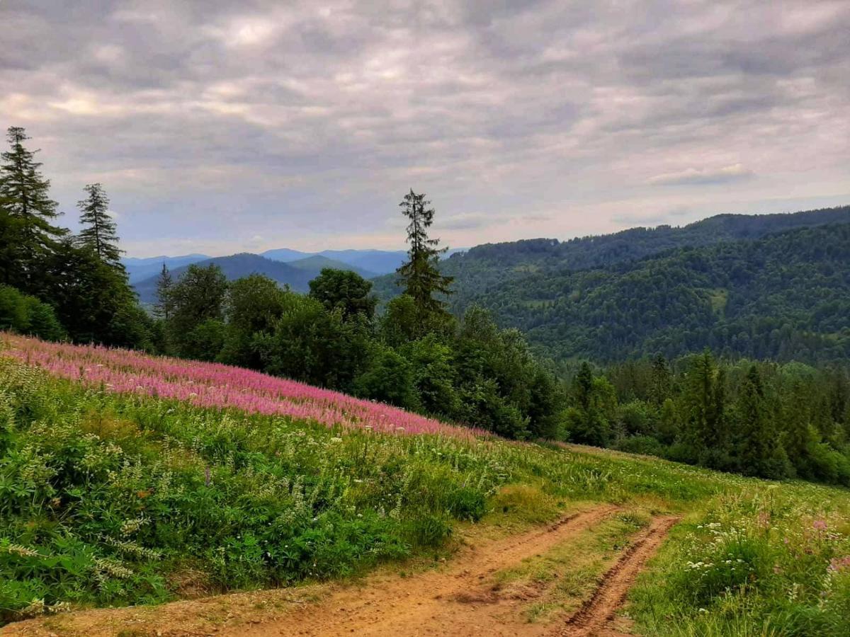 Шале Карпатська Казка Slawske Exterior foto
