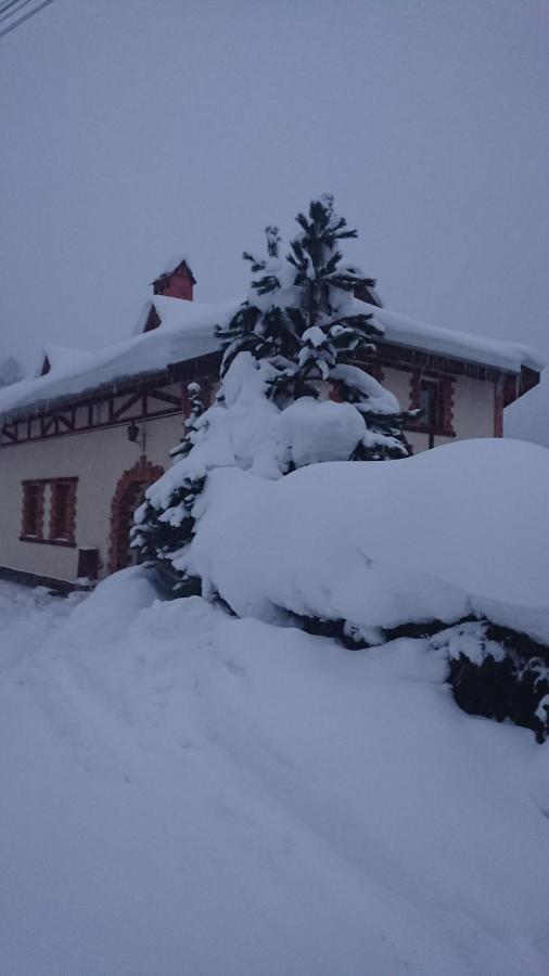 Шале Карпатська Казка Slawske Exterior foto