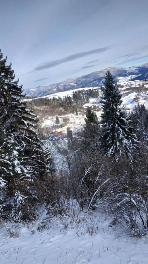 Шале Карпатська Казка Slawske Exterior foto